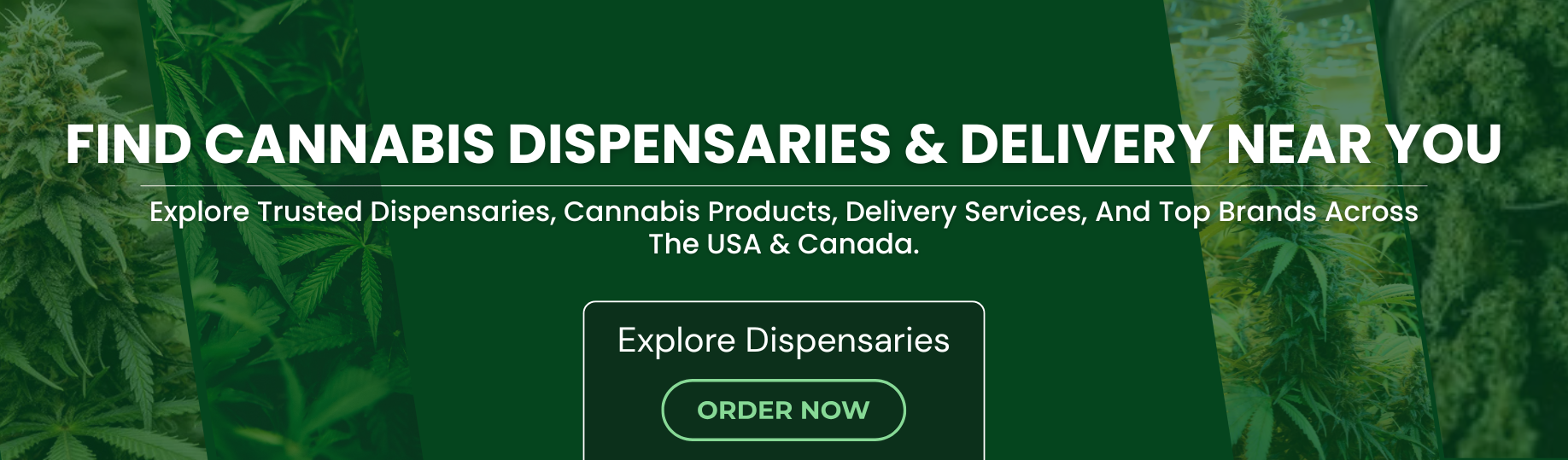 Weedx.io Promotion Banner