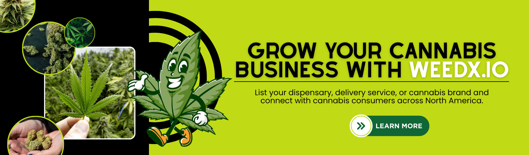 Weedx.io Promotion Banner
