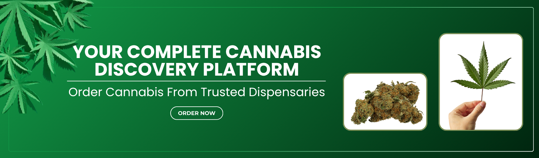 Weedx.io Promotion Banner